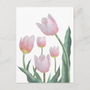 Postal Diseño floral de tulipán pastel