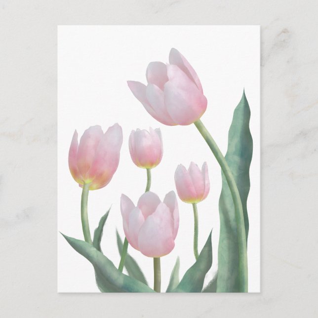 Postal Diseño floral de tulipán pastel (Anverso)