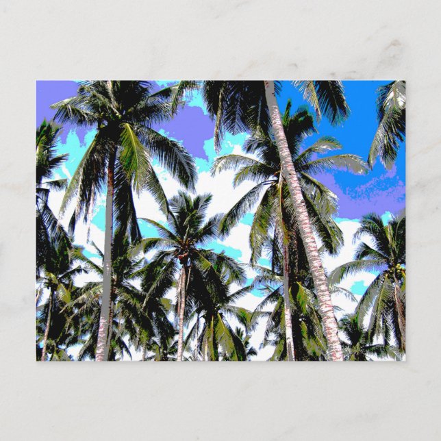Postal Diseño Gráfico de Palmeras (Anverso)