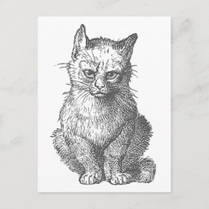 Postal Diseño gruñón del gato del vintage
