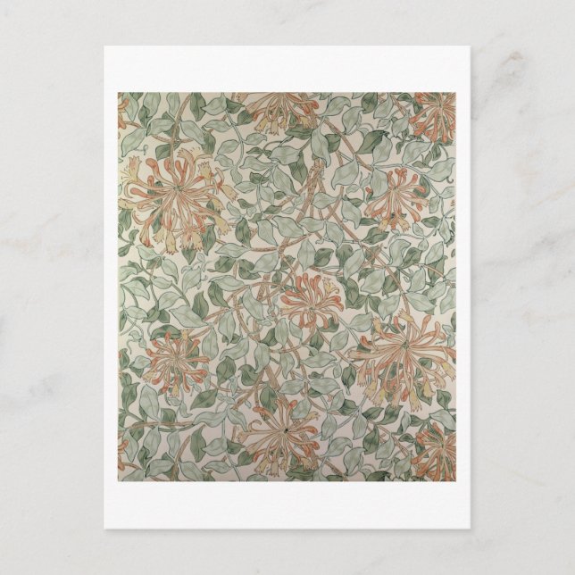 Postal Diseño "Honeysuckle II" (Anverso)