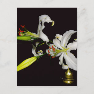 Postal Diseño irlandés - Colección de bronce y flores