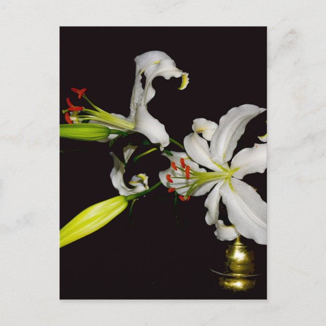 Postal Diseño irlandés - Colección de bronce y flores (Anverso)