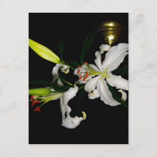 Postal Diseño irlandés - Colección de flores