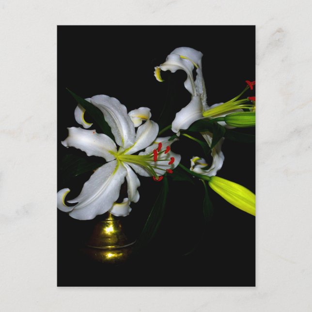 Postal Diseño irlandés de Brass y Flores (Anverso)