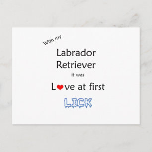 Postal Diseño Lick de Labrador Recuperador