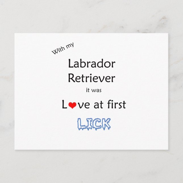 Postal Diseño Lick de Labrador Recuperador (Anverso)