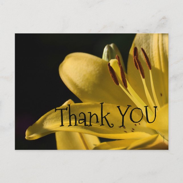 Postal Diseño 'LiLi-Amarillo' (Anverso)