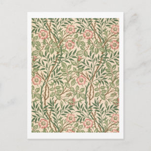 Postal Diseño "Sweet Briar" para papel pintado por Joh