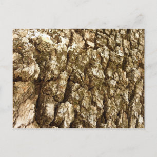 Postal Diseño Texturizado Natural de Corteza de Árbol II