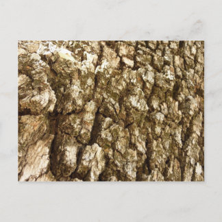 Postal Diseño texturizado natural de la barra de árbol II