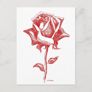Postal Diseños de la rosa roja