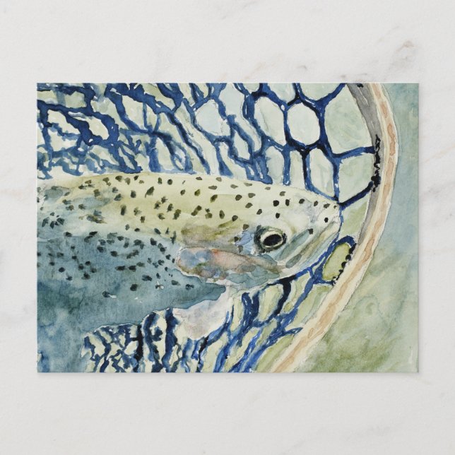 Postal Diseños de pesca de captura y liberación (Anverso)