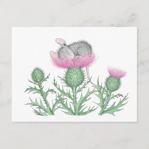 Postal Diseños House-Mouse® -