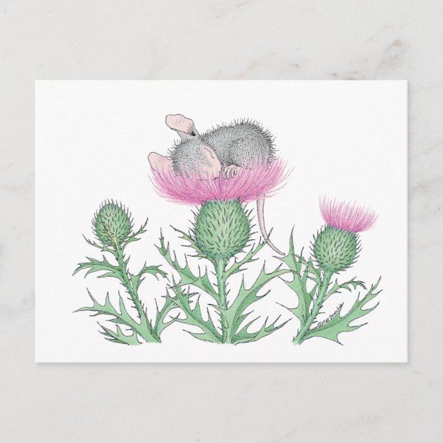 Postal Diseños House-Mouse® - (Anverso)