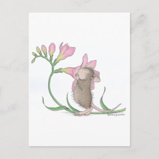 Postal Diseños House-Mouse® -