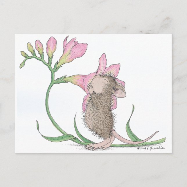 Postal Diseños House-Mouse® - (Anverso)