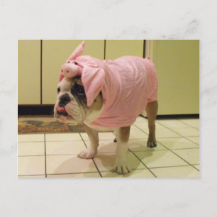 Postal disfraz de bulldog