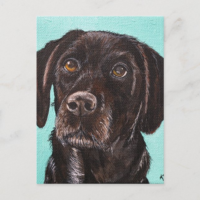 Postal Disparo (Anverso)