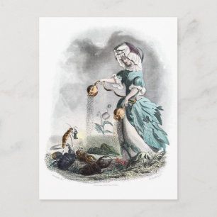 Postal Disquete de Opio