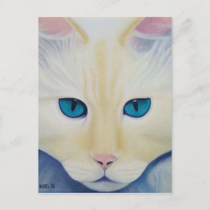 Postal Ditto Postcard