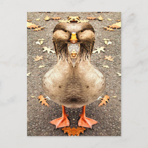 POSTAL DIVERSIÓN ANIMAL