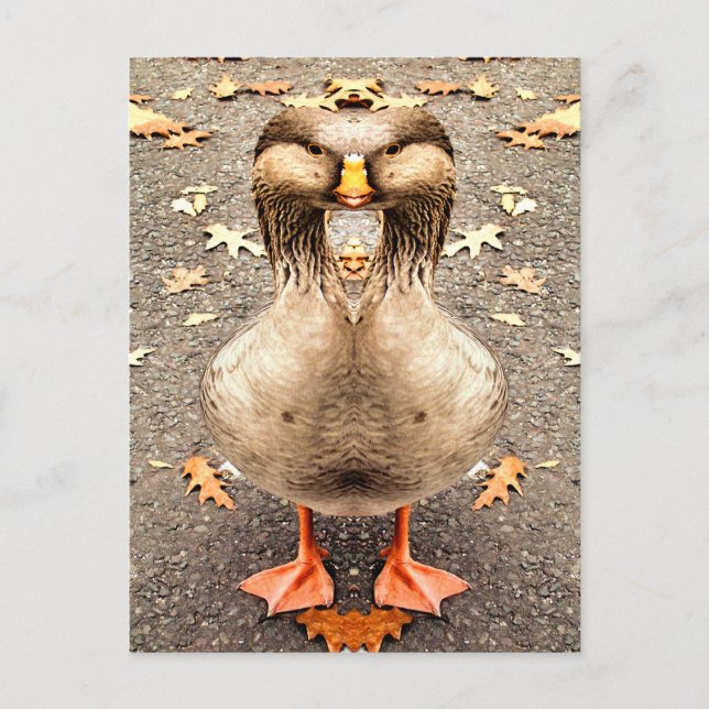 POSTAL DIVERSIÓN ANIMAL (Anverso)