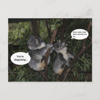 Postal Diversión de la koala