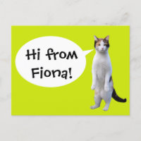 Diversión de mensajes de Personalizado de gato per