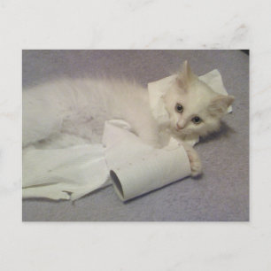 Postal diversión de papel higiénico