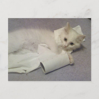 Postal diversión de papel higiénico