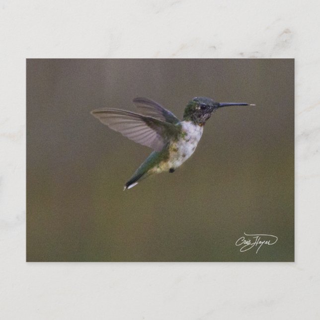 Postal Diversión de verano (Anverso)