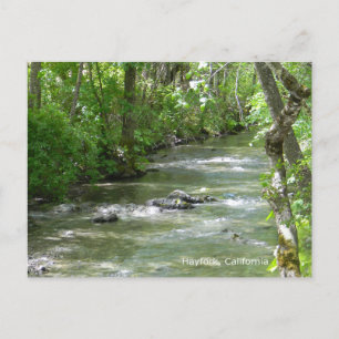 Postal Diversión de verano...