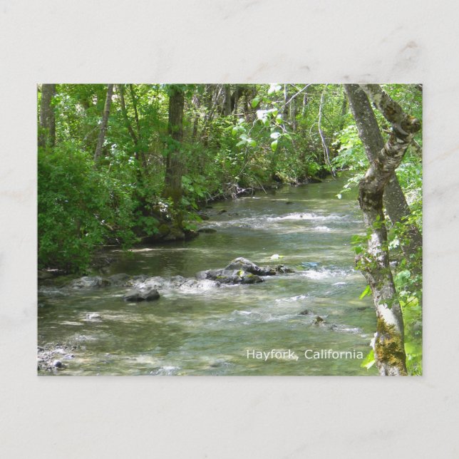 Postal Diversión de verano... (Anverso)