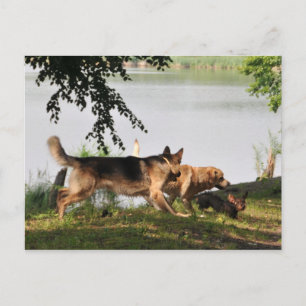 Postal Diversión, diversión, diversión.