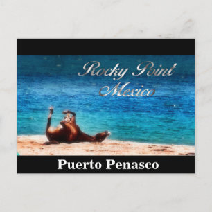 Postal Diversión En El Sol