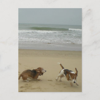 Postal Diversión en la playa