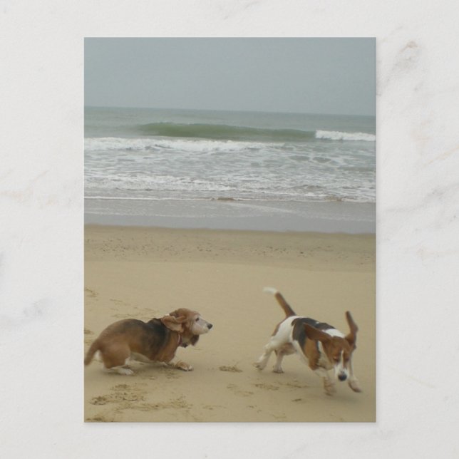 Postal Diversión en la playa (Anverso)