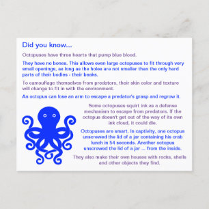 Postal Diversos Hechos Sobre Octopuses