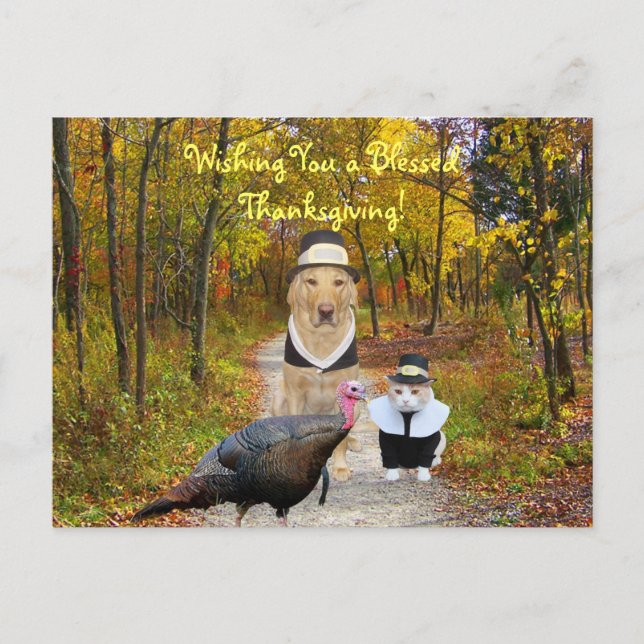 Postal divertida adaptable de la acción de gracias (Anverso)