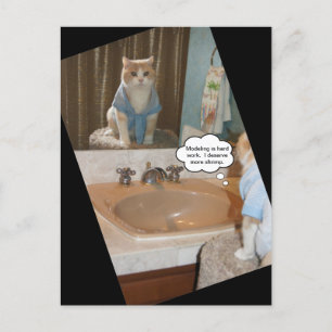 Postal Divertida afirmación de un gato sobre un aumento