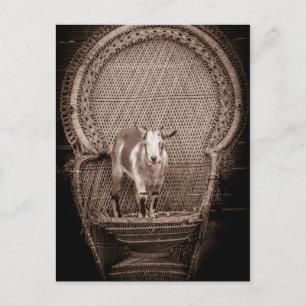 Postal divertida de cabra