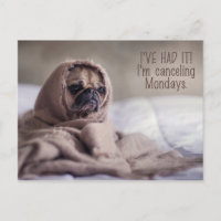 Postal divertida de Pug Dog