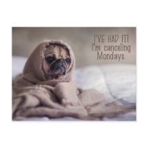 Postal divertida de Pug Dog