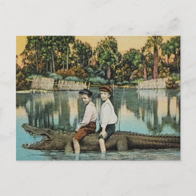 Postal divertida de Ride'um Gator (Anverso)