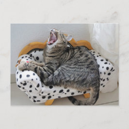 Postal divertida de un gato gatito canto y aburrid