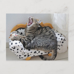 Postal divertida de un gato gatito canto y aburrid