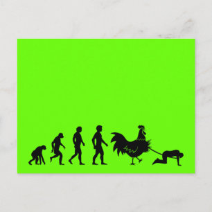 Postal Divertida evolución del pollo