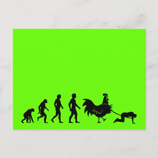 Postal Divertida evolución del pollo (Anverso)