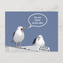 Postal divertida gritadora chistosa de la gaviota